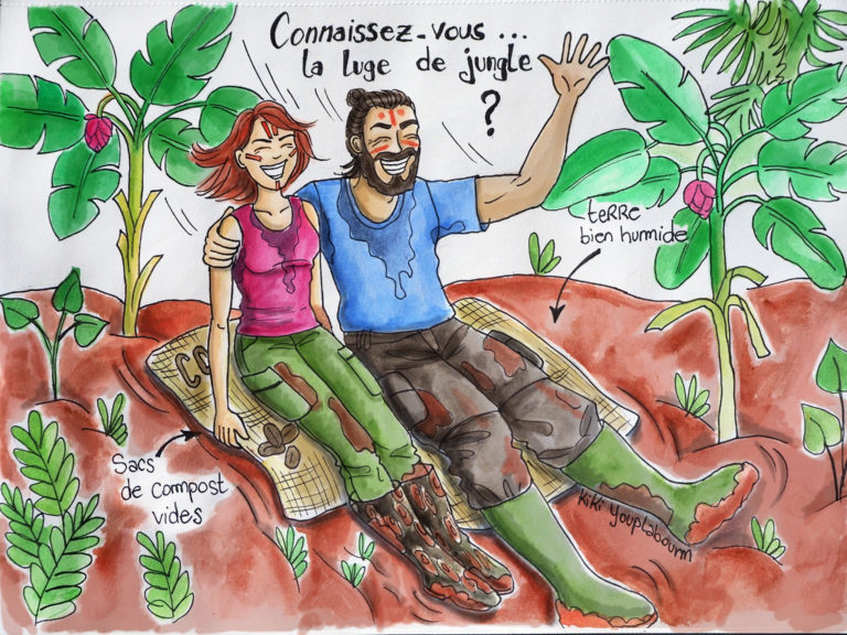 illustration luge de jungle